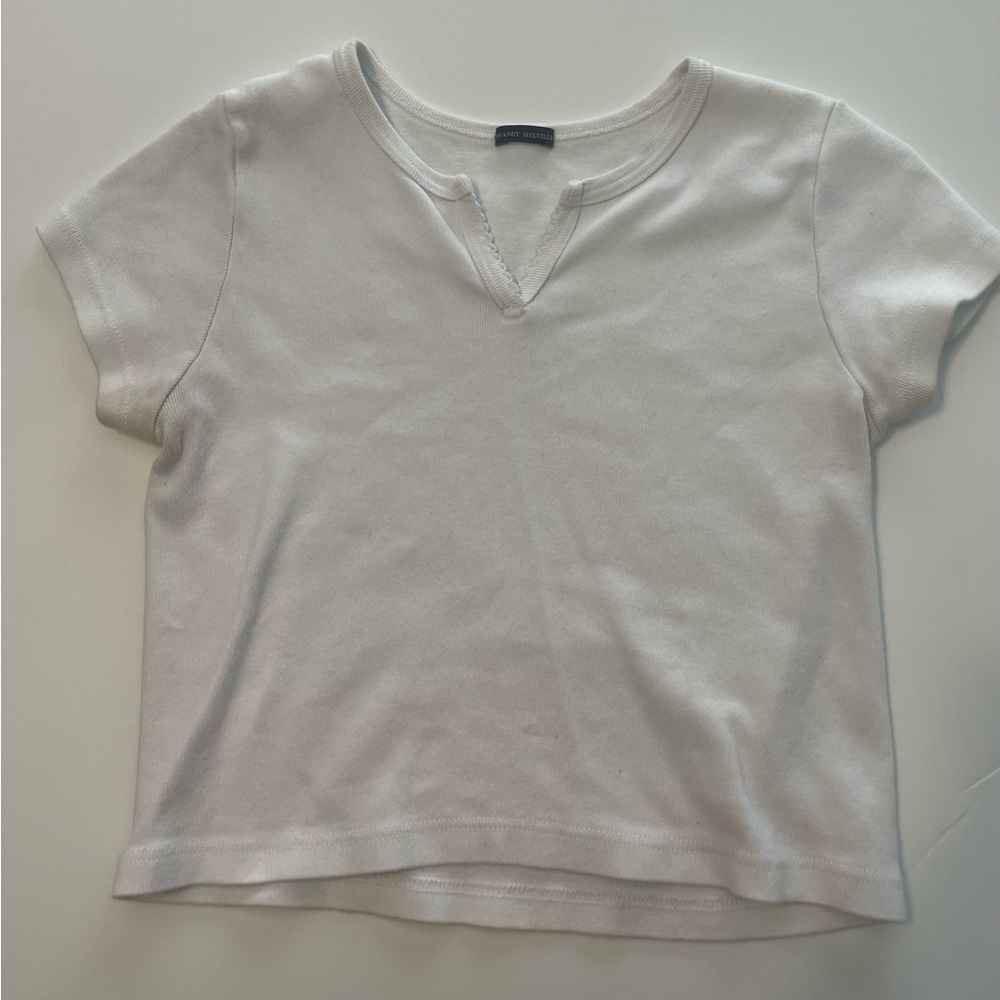 Brandy Melville Crop Top